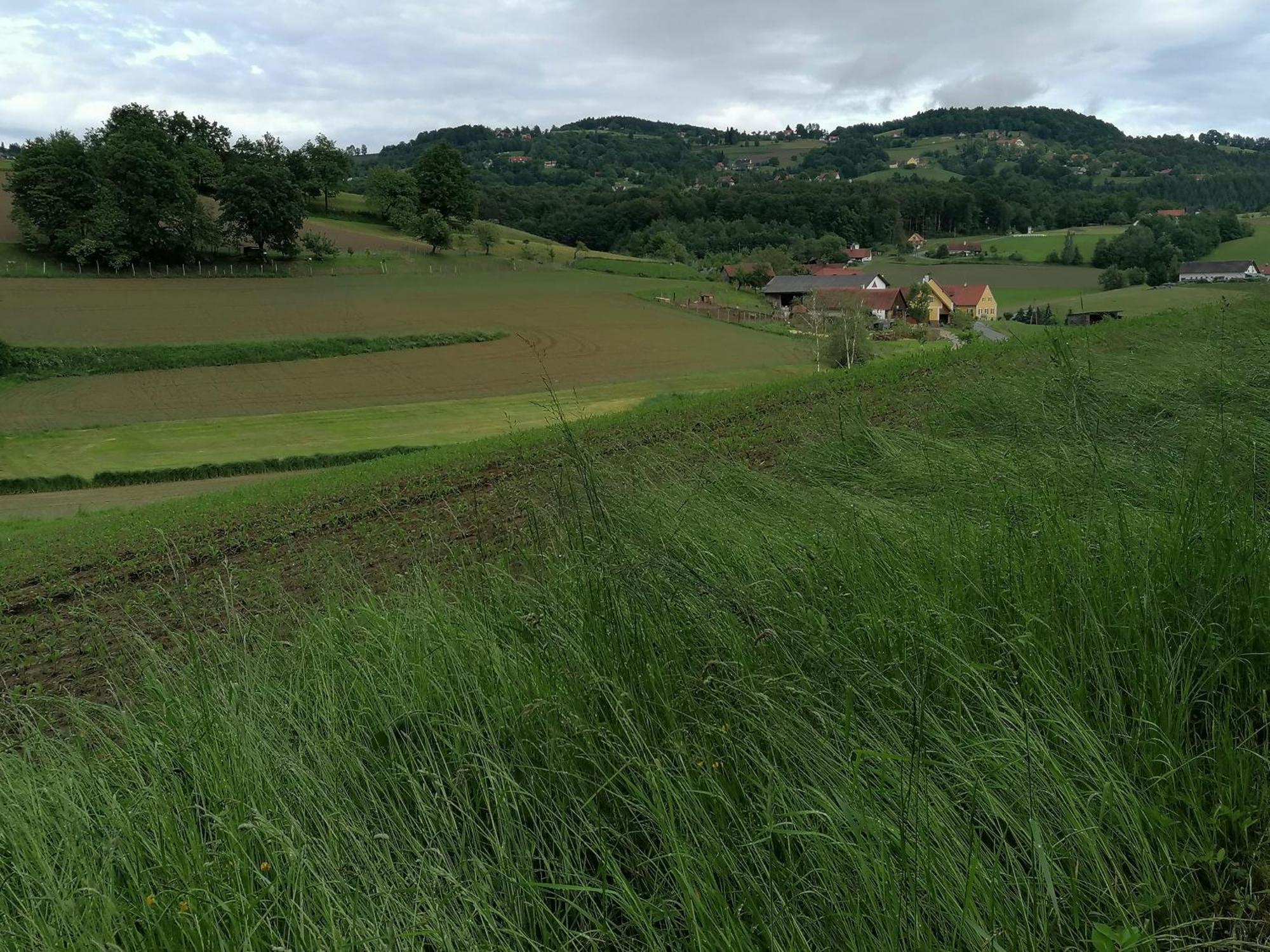 Villa Am Jaukhof Familie Stiendl Neudorf im Sausal Exterior foto