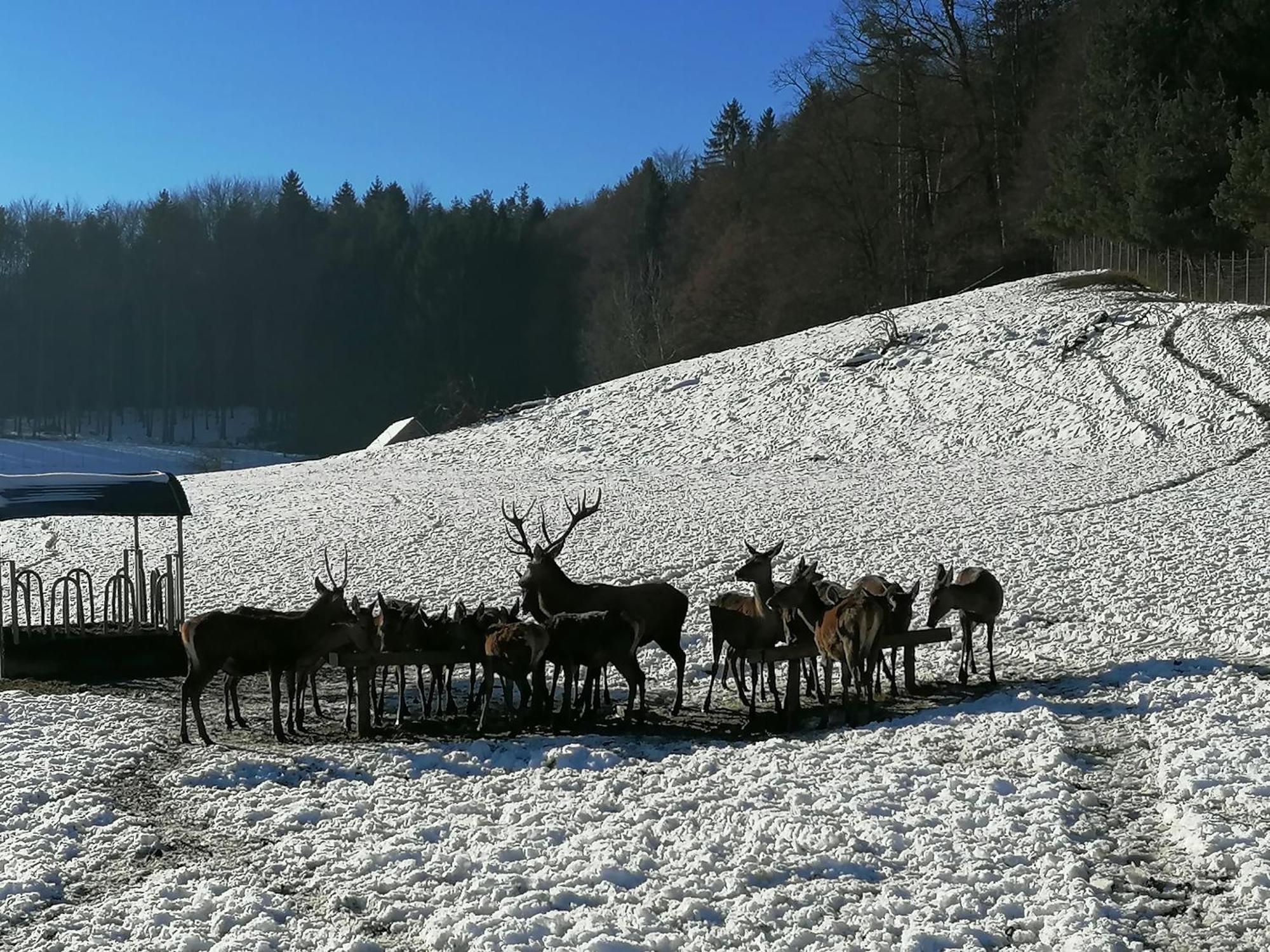 Villa Am Jaukhof Familie Stiendl Neudorf im Sausal Exterior foto